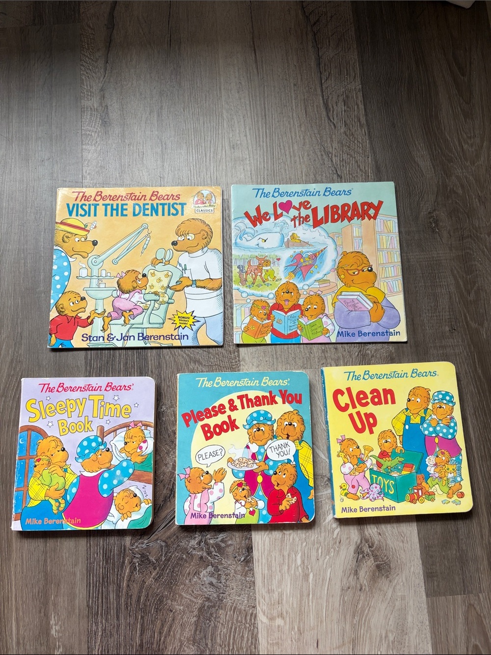 The Berenstein Bears Bundle